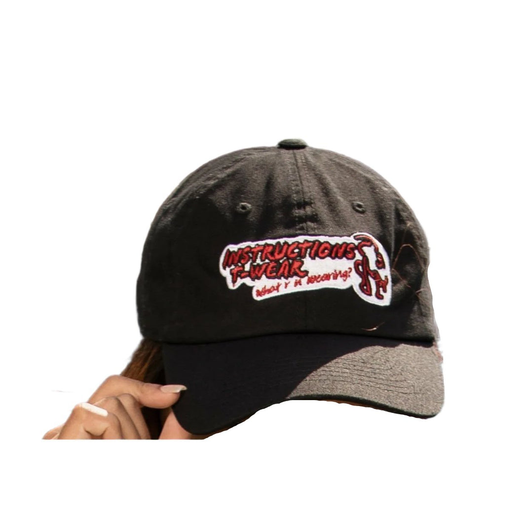 Graphic Dad Hats | Adjustable Dad Hats | Instructions T-Wear